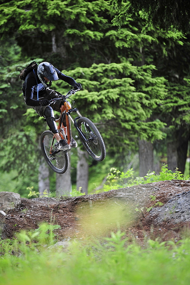 Downhill mountain biker rides the Big Spruce Trail at Alyeska Resort in Girdwood, Alaska June 2011.