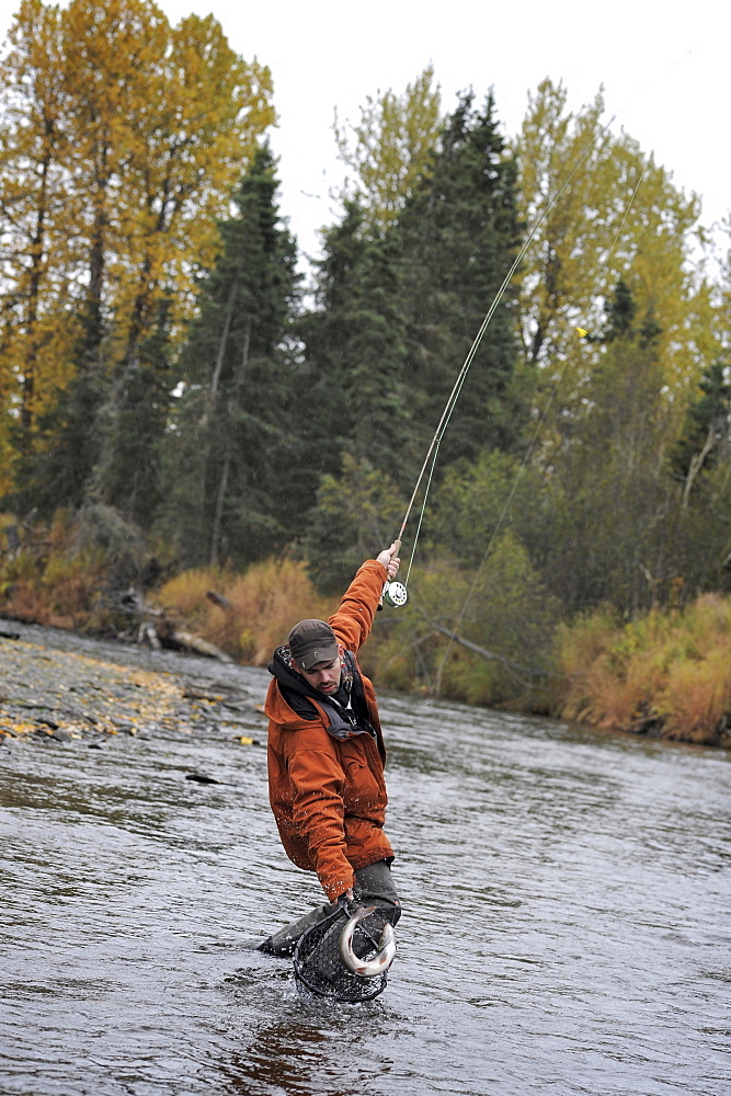 Fisherman with Dolly Varden char fished on Deep Creek on the Western Kenai Peninsula, Alaska September 2009.  Flowing into Cook Inlet north of Homer, the waters of Deep Creek and the Anchor River host late fall runs of wild steelhead.