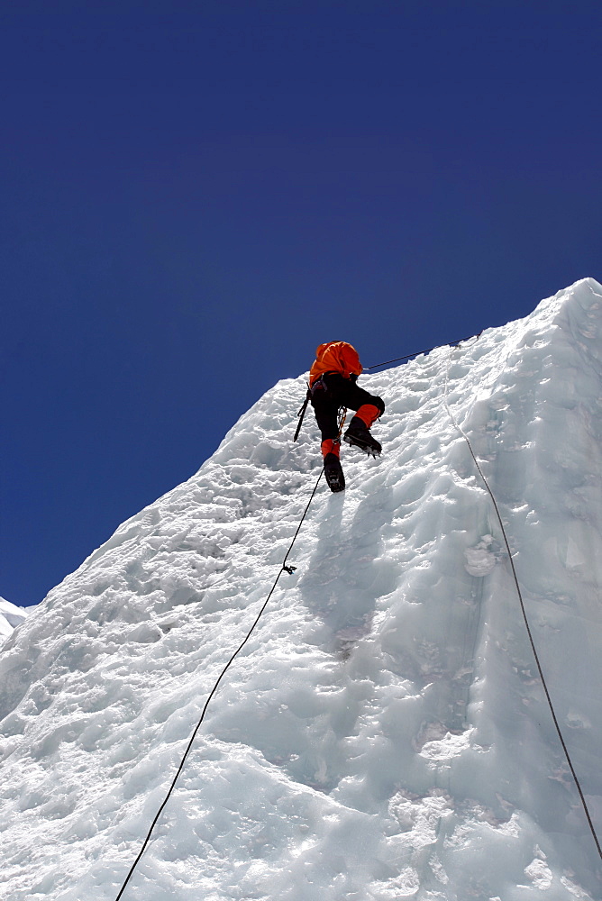 Mountaineers climbing up the Khumbu Icefall on the route up Everest, Everest Base Camp, Khumbu, Nepal