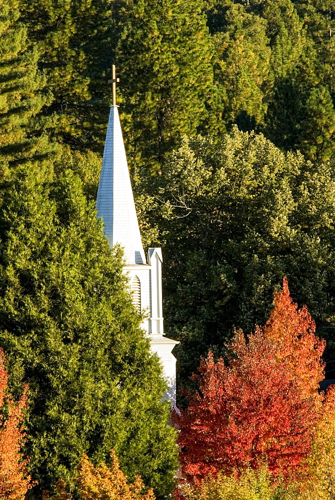 Historic St. Canice Catholic Church spire and fall colors in Nevada City, Nevada City, California, USA