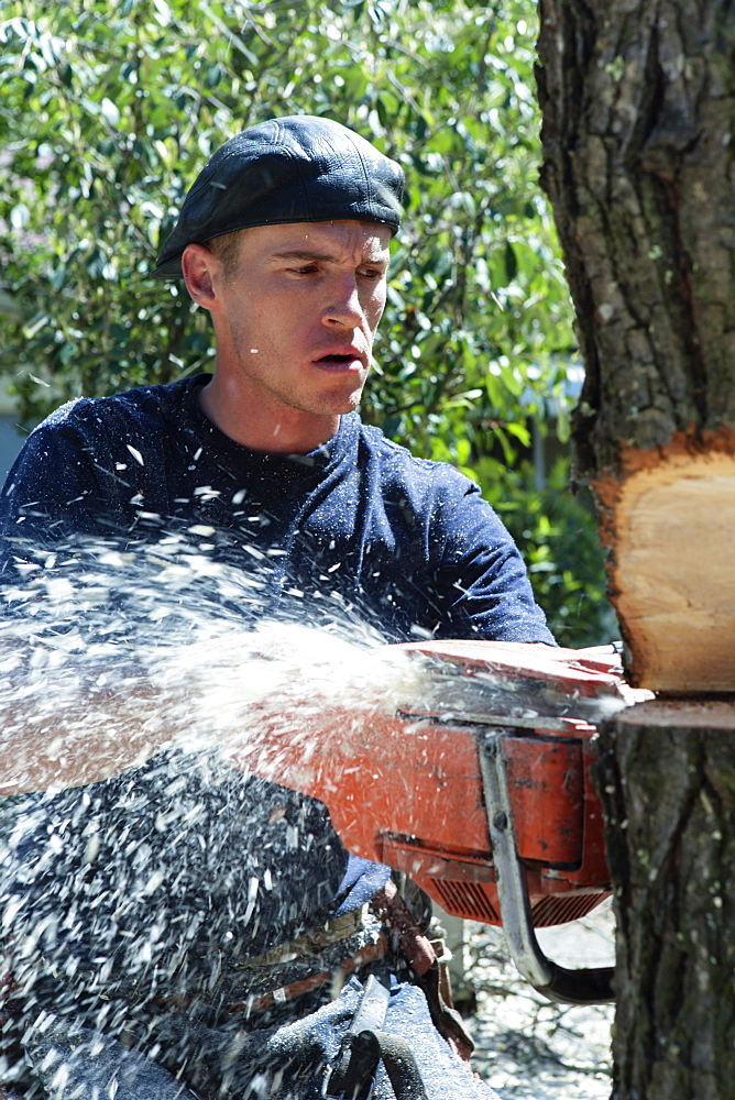 A young man cutting down a tree with a chain saw.