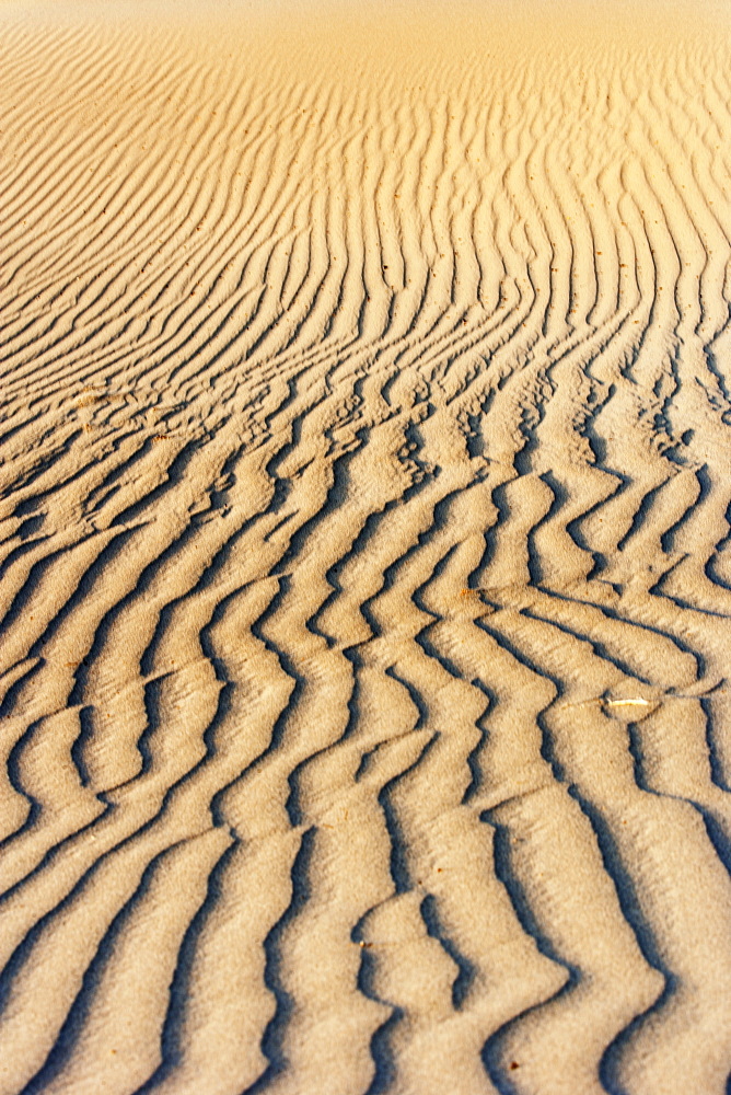 Wind blown lines on a sand dunes in the Mesquite Flat Sand Dunes. Death Valley National Park.