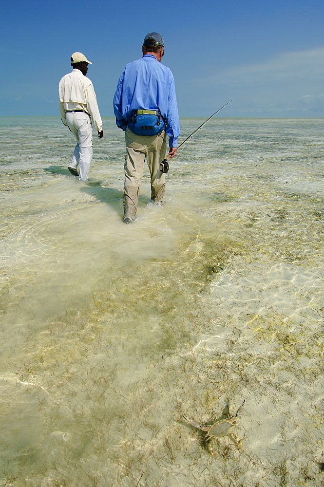 Fly fishing for bonefish in the Bahamas.