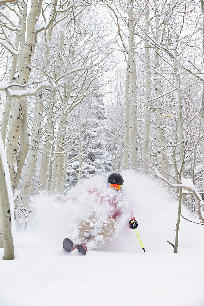 A man skiing fresh powder in the aspen trees of Snowbird, Utah