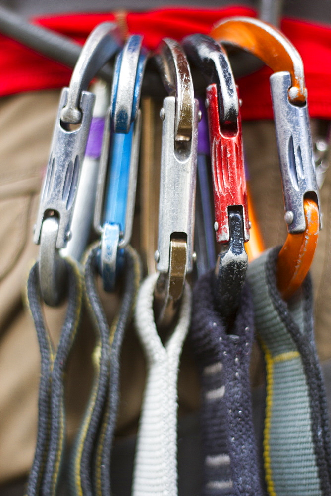 Quickdraws racked on a climbers harness in Kootenai Creek, Montana.