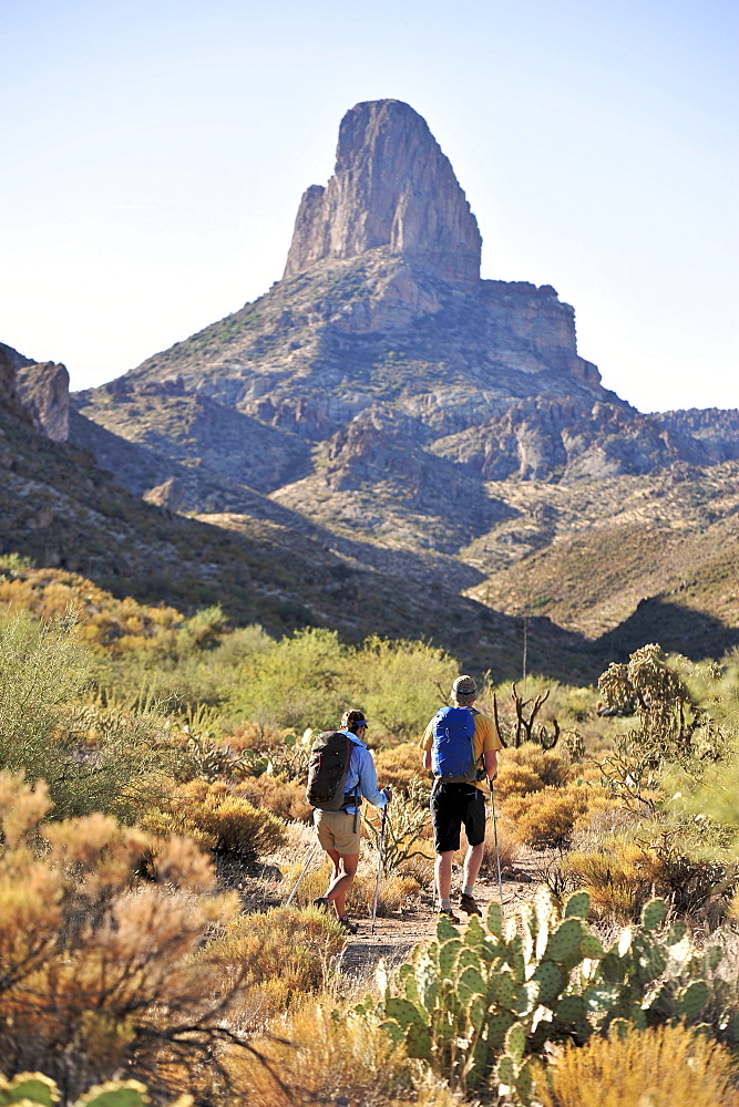 Man and woman backpackers hike on the popular Peralta Trail in the Superstition Wilderness Area, Tonto National Forest near Phoenix, Arizona November 2011.  The trail offers spectacular views of Weavers Needle and the rugged Sonoran desert.