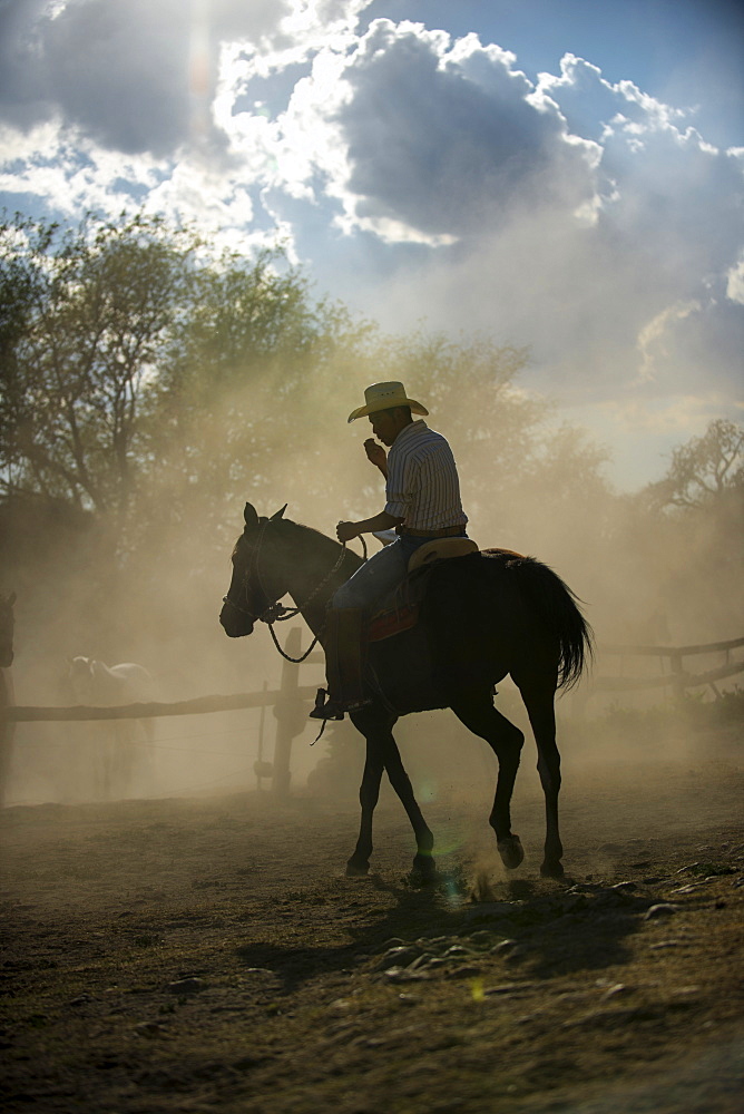 A cowboy wrangles a herd of horses and donkeys in the pastures of Hacienda Las Trancas, a 450 year old structure located near three Spanish Colonial cities of San Miguel de Allende, Guanajuato, and Dolores Hidalgo.