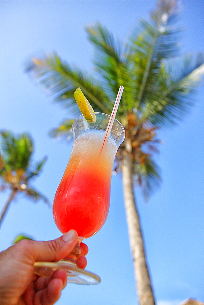 Delicious pineapple juice and grenadine background with a palm tree. Tanzania, Zanzibar Archipelago, Unguja island (Zanzibar), Nungwi