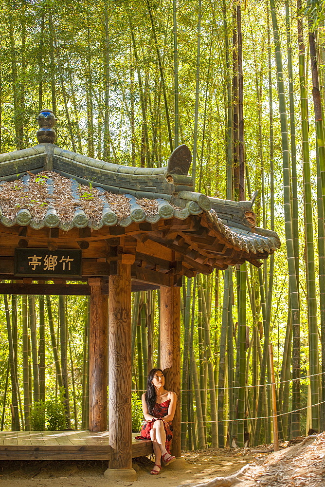 woman restingon a picnic area in bamboo forrest in Damyang