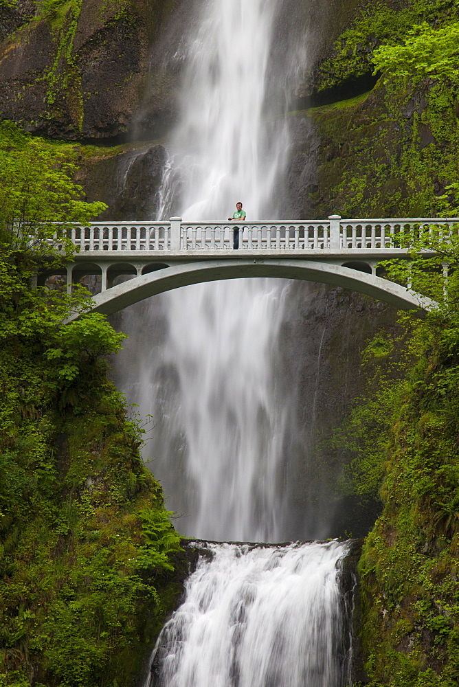 A man stands on the Benson Bridge in front of Multnomah Falls, a 542-foot waterfall located in the Columbia River Gorge, Oregon.