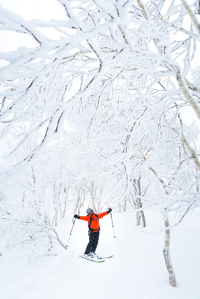 A female skier in is standing in a beautiful mountain landscape with snow covered trees near the ski resort of Rusutsu on Hokaido, Japan. Hokkaido, the north island of Japan, is geographically ideally located in the path of consistent weather systems that bring the cold air across the Sea of Japan from Siberia. This results in many of the resorts being absolutely dumped with powder that is renowned for being incredibly dry. Some of the Hokkaido ski resorts receive an amazing average of 14-18 metres of snowfall annually! With an average annual snowfall of over 14 metres, the Rusutsu Resort has some of the most incredible powder and tree skiing to be found anywhere in the world. Frequently the powder is incredibly dry; you blast right through it with virtually no resistance. Next by Kiroro was mentioned as one of the 20 must visit destination in Best of the World 2016 of National Geographic Traveler.