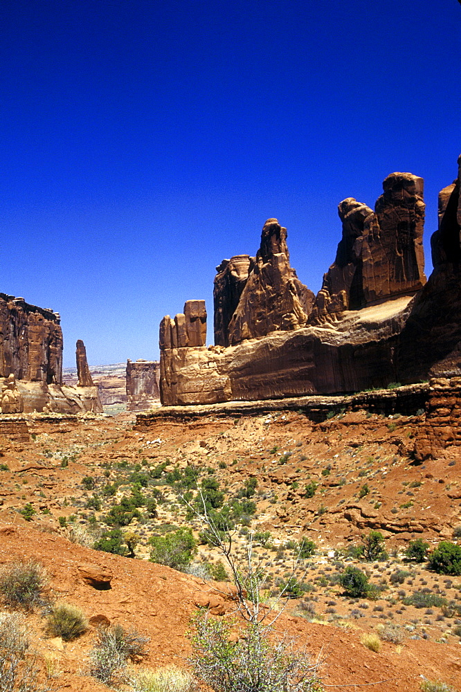 A portion of the Needles, Canyonland National Park.