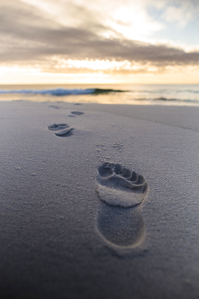 Early morning footprints in the sand along the beach at Tasmania's Bay of Fires on the East Coast.