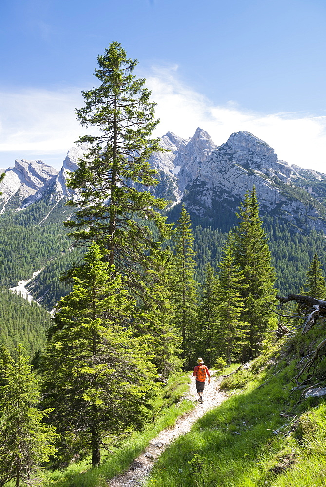 Man Hiking On A Trail After Climbing The Via Ferrata Ivano Dibona