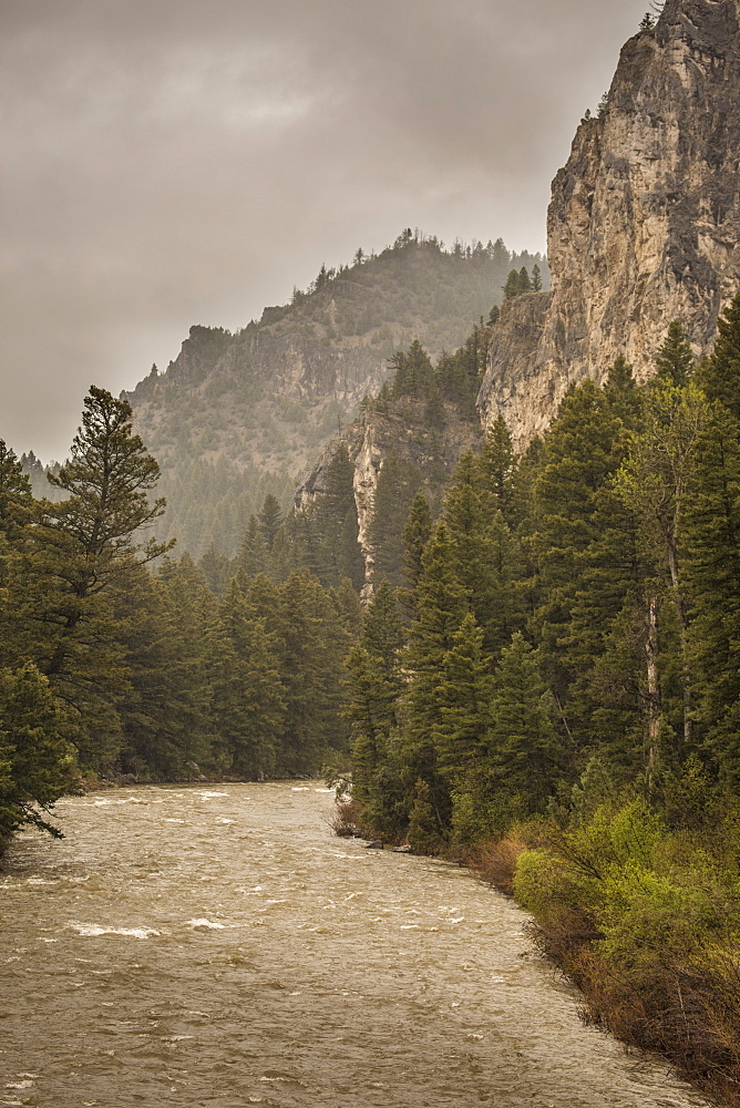 View Of Gallatin River In Montana, Use