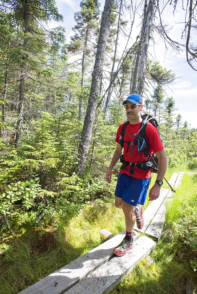 Male Hiker Walking On Boardwalk Surrounded By Grassyland In Forest