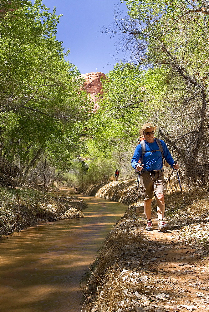 Male Hiker Hiking In In Coyote Gulch, Colorado