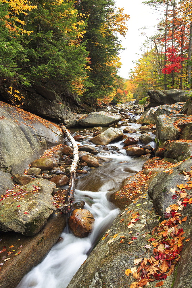 A stream trickles through colorful New Hampshire during the Fall season