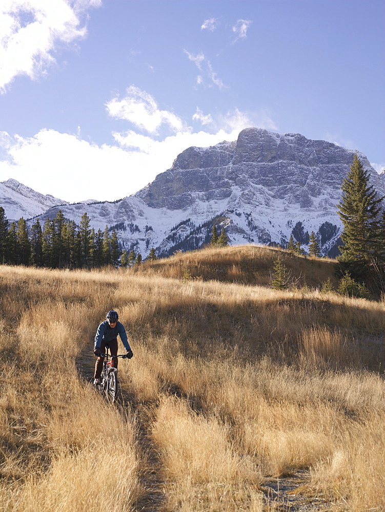 Mountain biker descends grassy meadow road in mountains