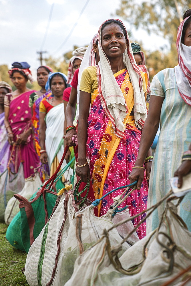 A Tea Picker Woman Standing In Line To Weigh Their Harvest Of The Day