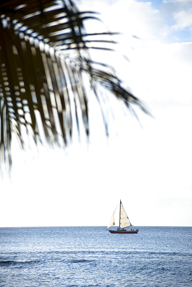 Sailing cruise through the Windward Islands of the Lesser Antilles of the Caribbean