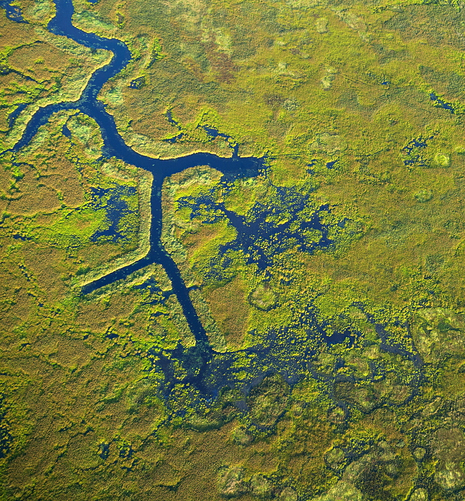 Aerial photograph of the Pitt Polder Ecological Reserve, British Columbia, Canada.