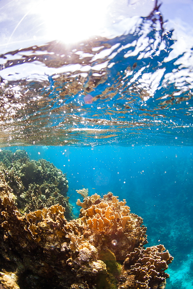 Split-level view of sky above and reef with coral underwater, West End, West Bay, Roatan, Honduras