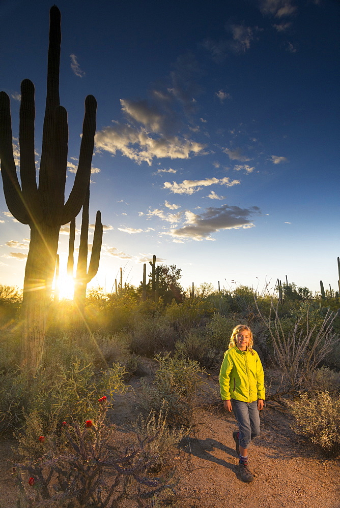 Girl hiking past cacti in Tucson Mountain County Park, Tucson, Arizona