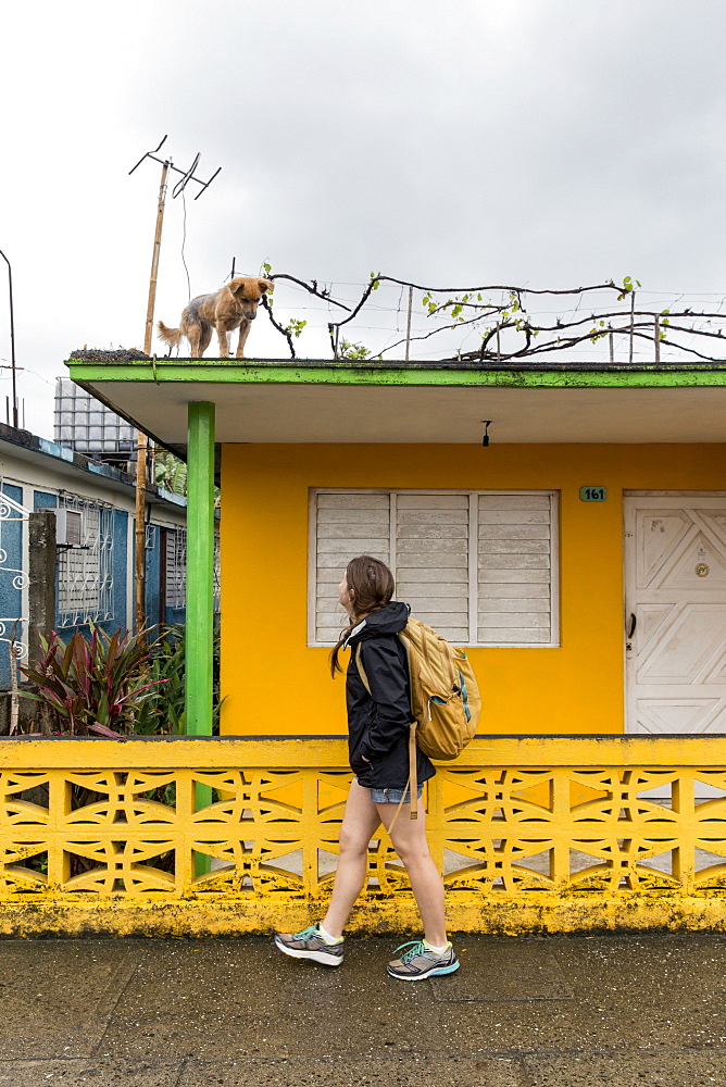 Side view of female tourist looking at dog on roof on street of Baracoa, Guantanamo Province, Cuba