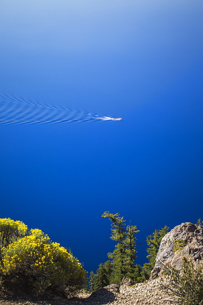 A tour boat anchors in the deep blue lake with fir trees at edge of frame, Crater Lake, Oregon, USA