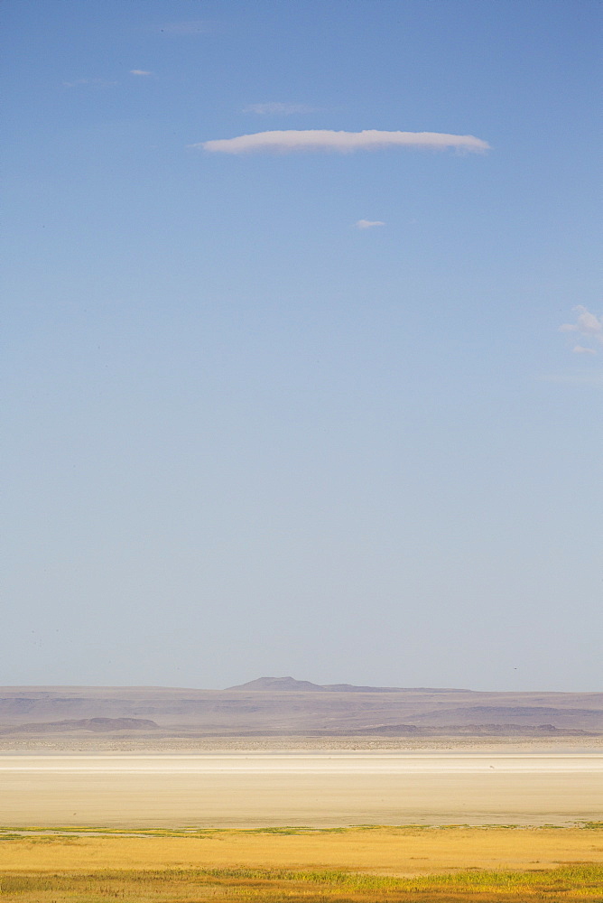 A dry desert landscape of yellows and tans below a light blue sky with one thin cloud Summer Lake, Oregon, USA