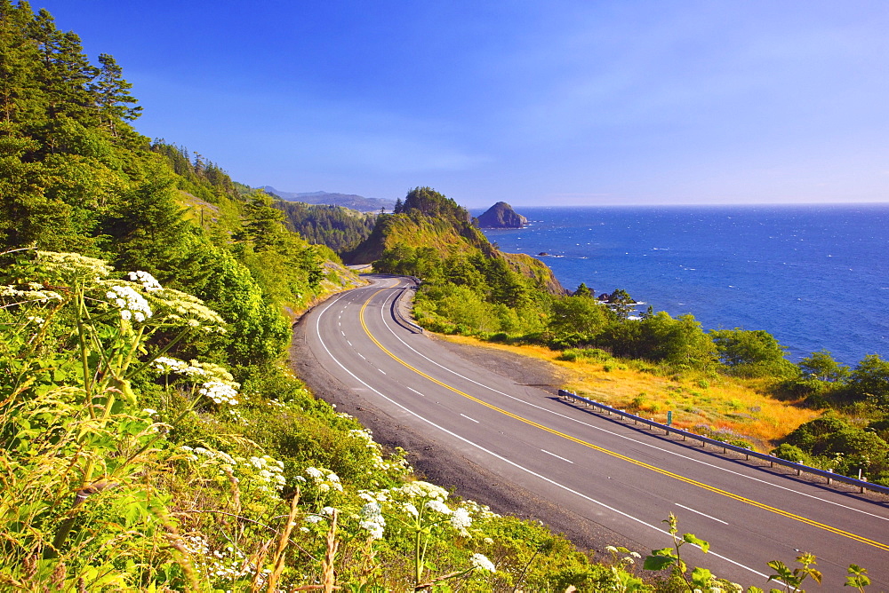 Wildflowers And Afternoon Light Add Beauty To The Highway And Rock Formations At Humbug Mountain State Park; Oregon United States Of America