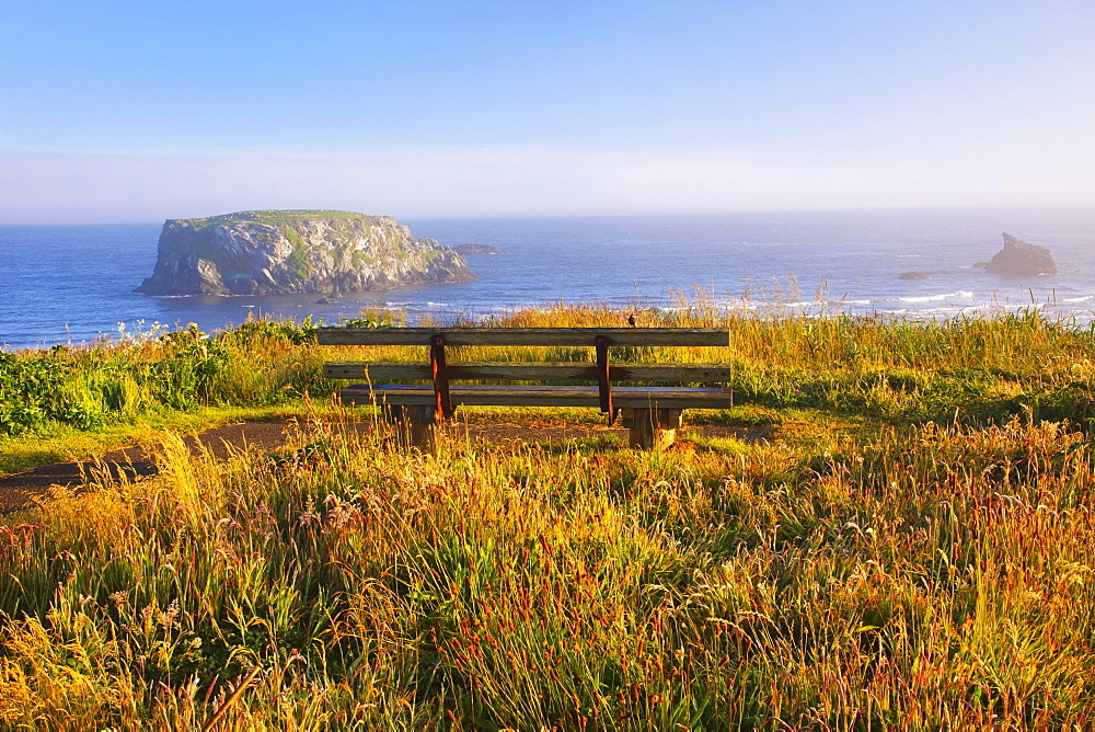 Morning Light Adds Beauty To Wildflowers And Fog Covered Rock Formations At Bandon State Park; Bandon Oregon United States Of America