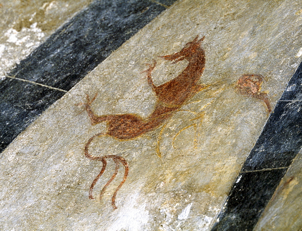 Dragon On A Cistercian Abbey Ceiling, Clare Island, County Mayo, Ireland