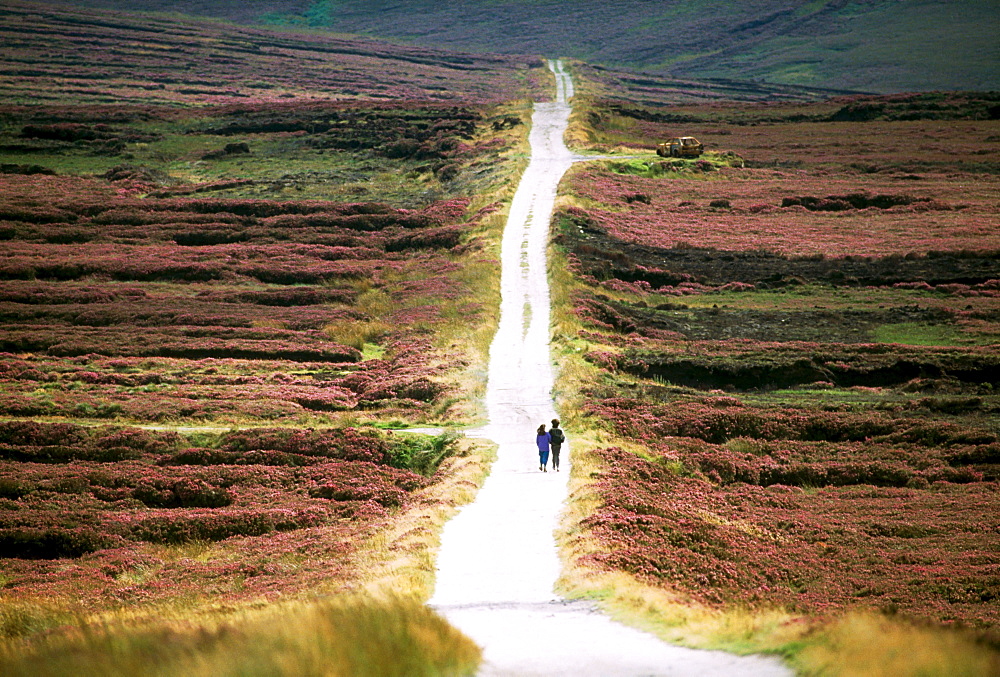 Wicklow Mountains, County Wicklow, Ireland, People Walking