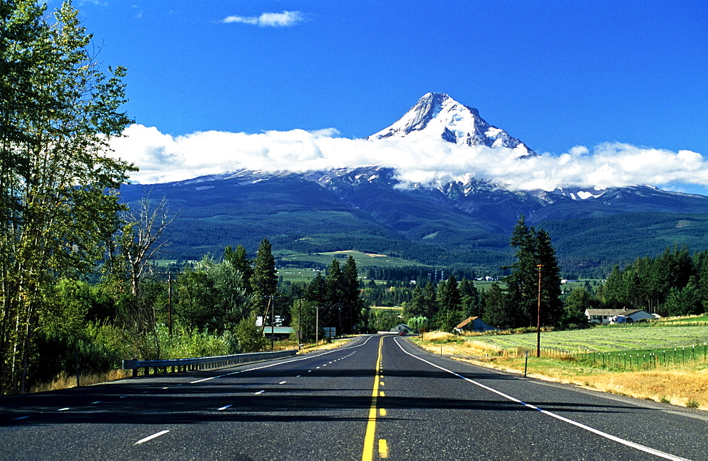 Road Towards Mount Hood, Oregon, Usa