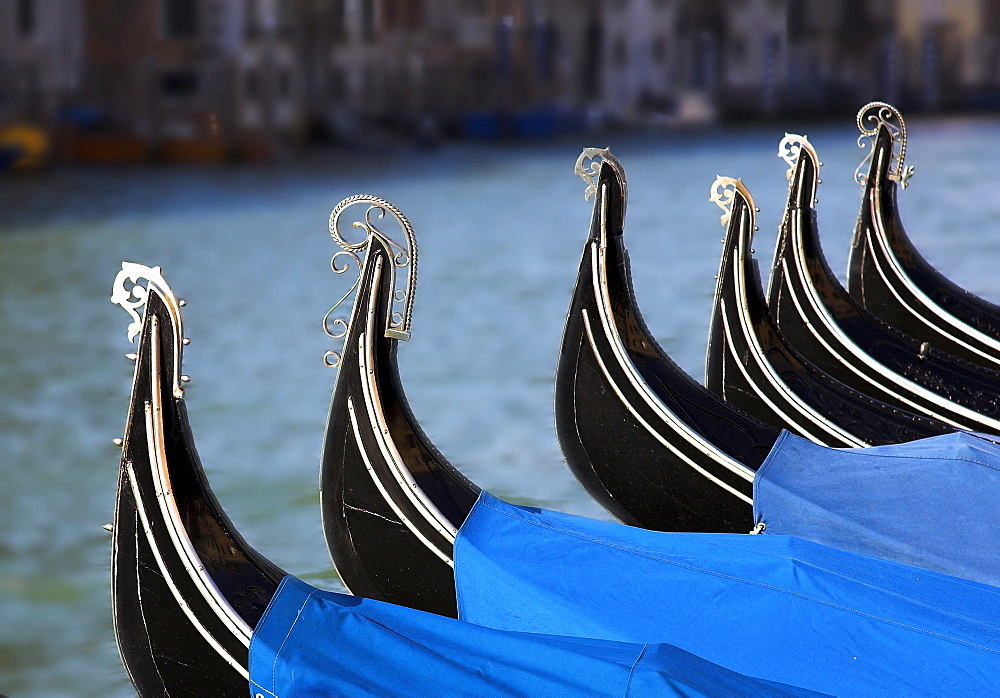 Moored Gondolas In A Row, Venice, Italy