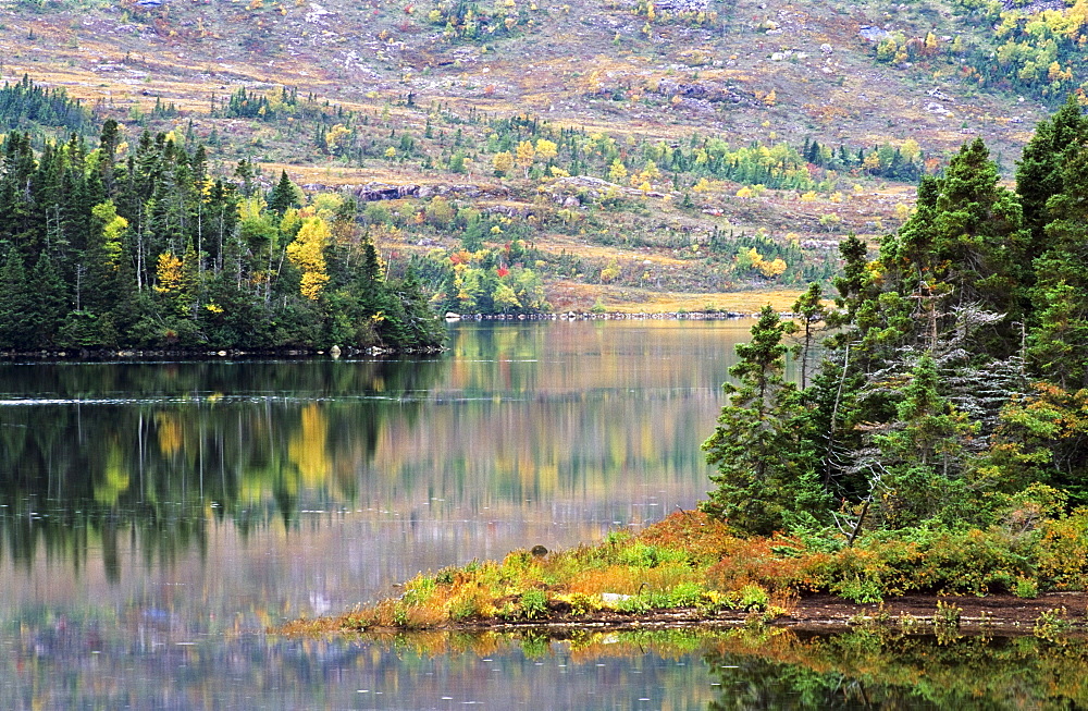 Lake And Trees In Fall Near Swift Current, Burin Peninsula, Newfoundland, Canada