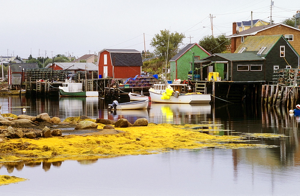 Fishing Village Of West Dover, Newfoundland, Canada