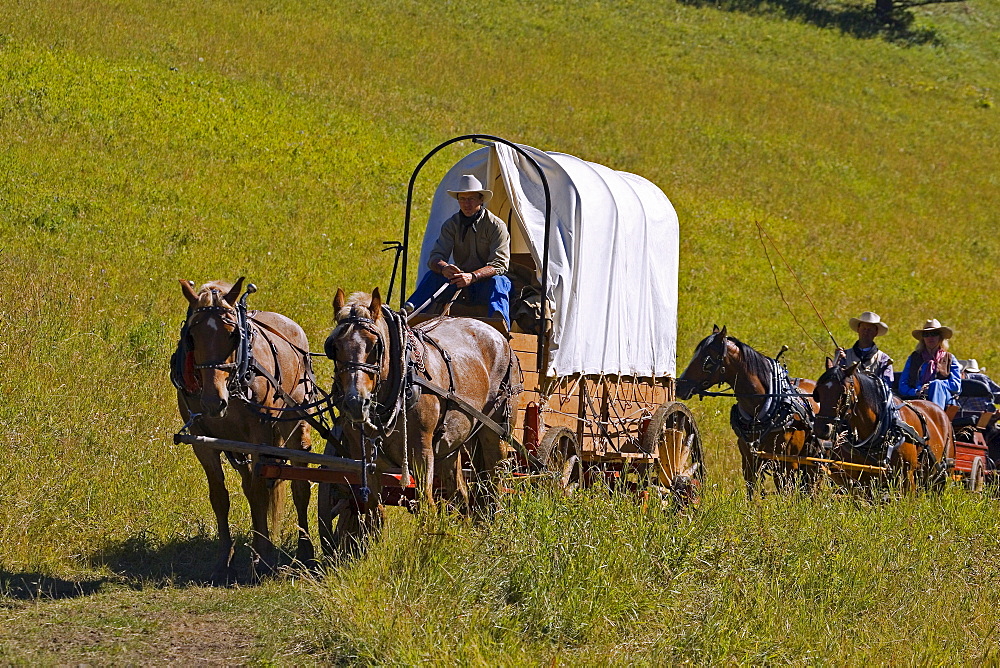 Wagon Train