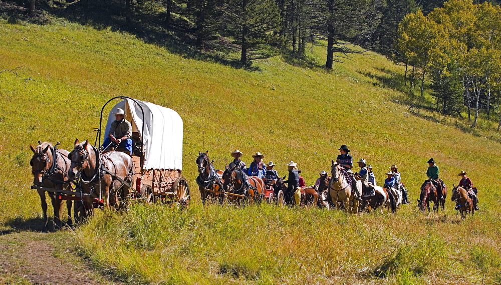 Pilgrims