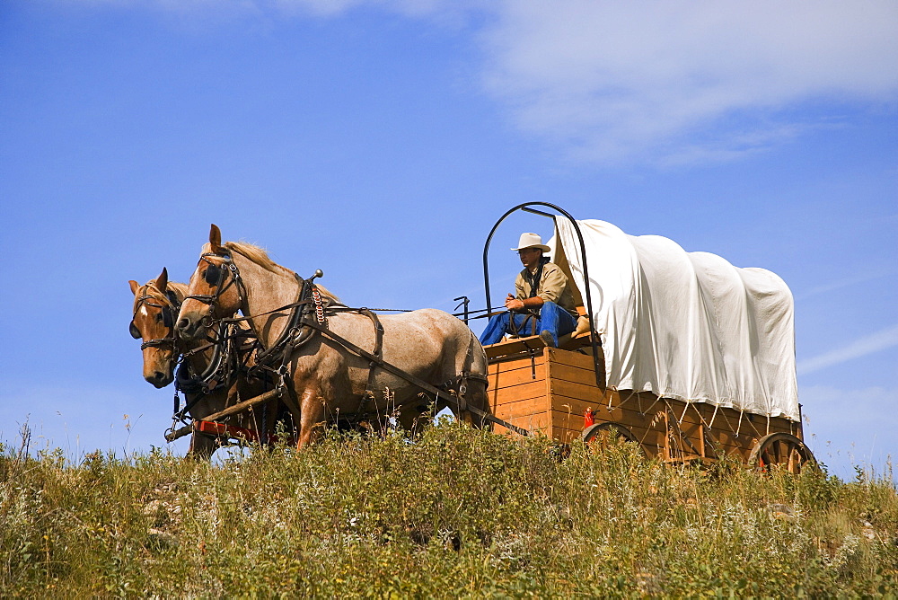 Traveling By Horse And Carriage