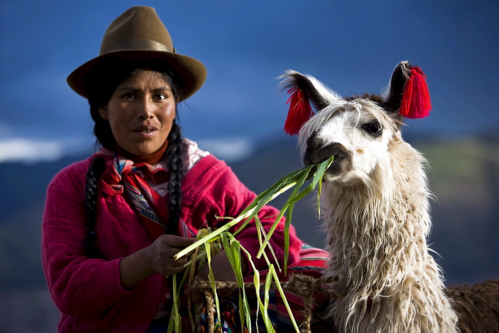 Peruvian Woman In Traditional Clothing With Llama In Cuzco, Peru