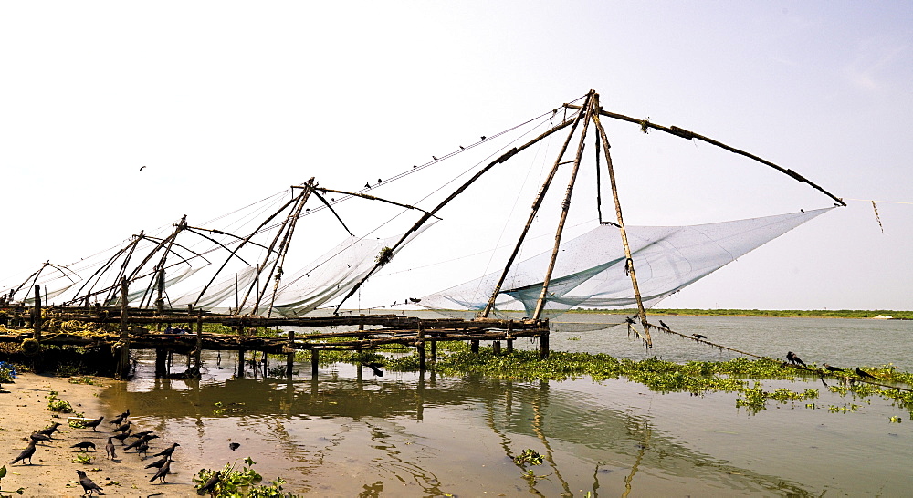 Chinese Fishing Nets, Cochin, India