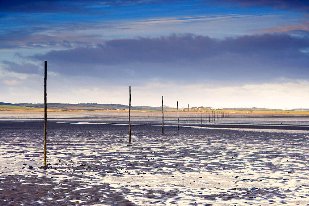 Poles In Water, Near Holy Island, Bewick, Northumberland, England