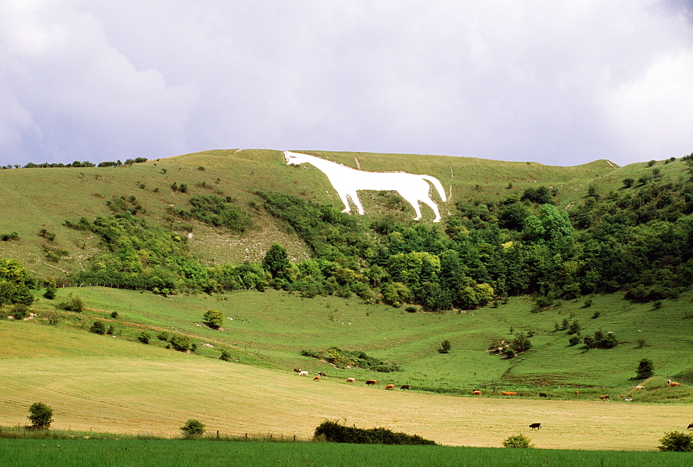 Prehistoric White Horse Carved Into Hillside, Oxfordshire, England