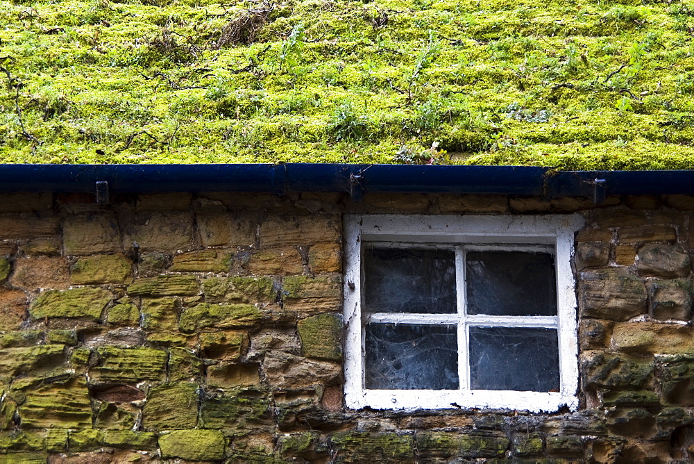 Cottage With Grassy Roof