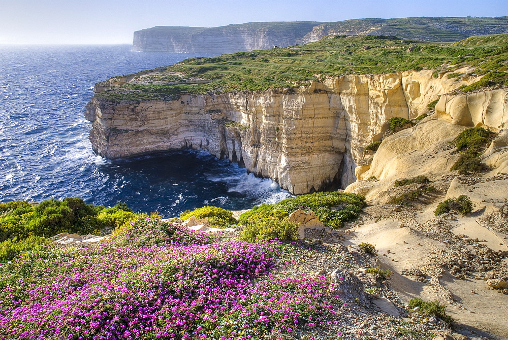 Cliffs Along Ocean With Wildflowers