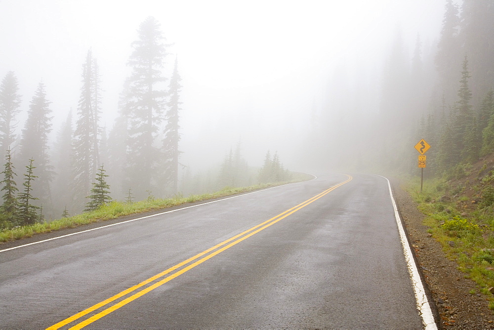 Foggy Road, Mount Rainier National Park, Washington, Usa