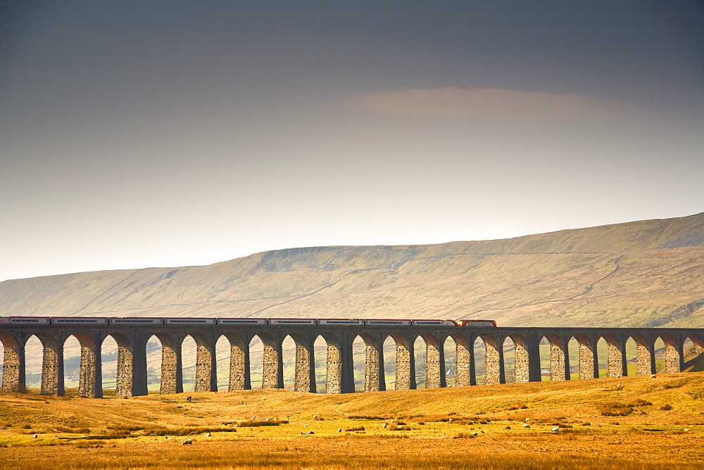 Train And Bridge, Yorkshire Dales, England